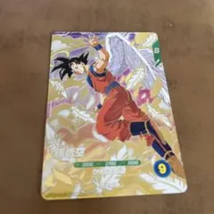 SDVP-20 孫悟空　GDR