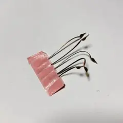 ムルチフィダ 種子5粒➕α モンソニア　サルコカウロン　ムルチフィズムのサムネイル