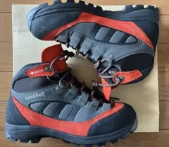 Item thumbnail for item f6966527-00f1-4468-be00-23f107f07b02