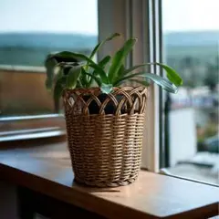 さといも様 リクエスト 2点 まとめ商品