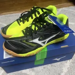 出品今月末まで❗️MIZUNO ミズノ ウェーブメダル6 卓球シューズ