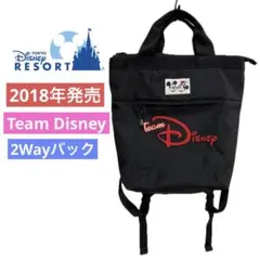 東京ディズニーリゾート　チームディズニー　2way バック　ミッキー　ミニー