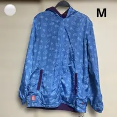 Item thumbnail for item 5fea8724-21f2-4ed9-a07e-0c02cbde41f6