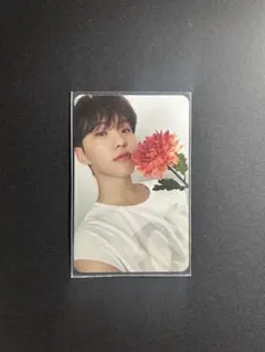 ホシ トレカ セブチ 17 is right here Carat盤 ①