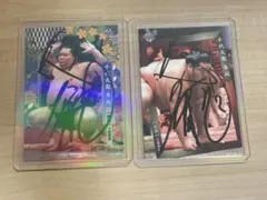 Item thumbnail for item 6c585499-7cb3-4f6f-a847-6d38e81edfa4