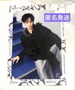 2026年最新】龍宮城 生写真の人気アイテム - メルカリ