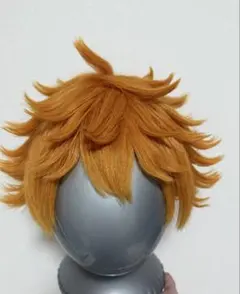 ハイキュー　日向翔陽　ウィッグ