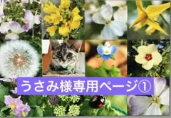 うさみ様専用ページ