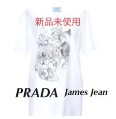 最終値下げ　PRADA プラダ　ビジュートップス　ラビット　ジェームスジーンのサムネイル