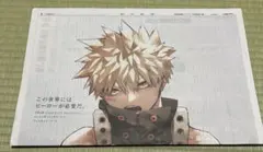 僕のヒーローアカデミア 爆豪勝己 2024年12月4日付 完全新品