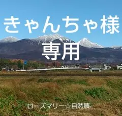 きゃんちゃ様専用