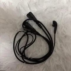 Item thumbnail for item 68da1408-a3ad-4553-a164-cfdf8793a054