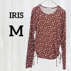 Item thumbnail for item 96d221ad-c9dc-4a72-a45a-2351378197ff