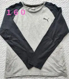 PUMA ロンＴ　160サイズ