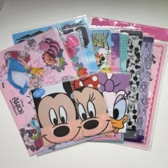 ディズニー ディズニーリゾート クリアファイル ミニー ミッキー アリス