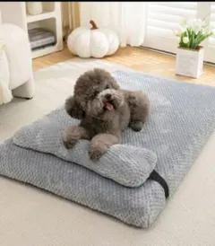 これ以上値下げしませんLangxingcs高弾力マット犬猫ペットベッド介護高齢犬のサムネイル