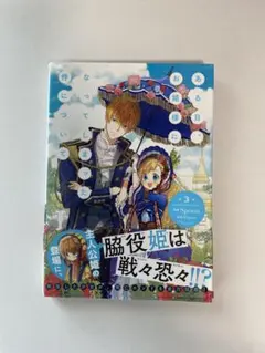 ある日、お姫様になってしまった件について 3