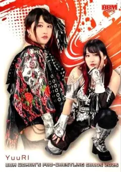 Item thumbnail for item 6216007d-7d96-4c45-8938-6d6dfddf7991