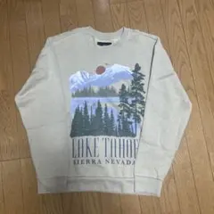 Hollister トレーナー Champion パーカー