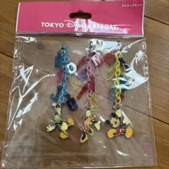 東京ディズニーリゾート ストラップセット