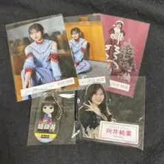 エコバッグママ様 リクエスト 2点 まとめ商品