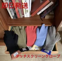 冬物セール！30％オフ！女性用　手袋　タッチスクリーングローブ　グレー