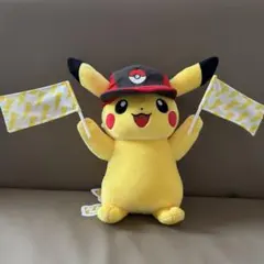 2026年最新】トヨフェス ピカチュウの人気アイテム - メルカリ