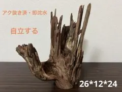 2026年最新】ブランチウッドの人気アイテム - メルカリ