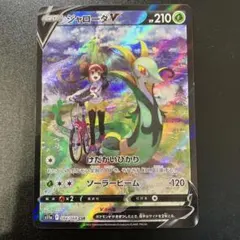 2025年最新】csr ジャローダの人気アイテム - メルカリ