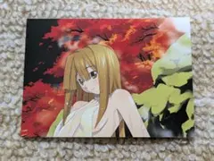 2026年最新】瀬戸の花嫁 の人気アイテム - メルカリ