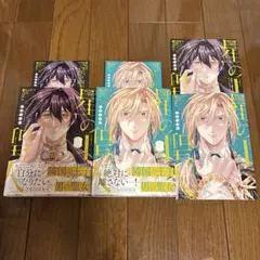 星の聖人 ボーイズラブ