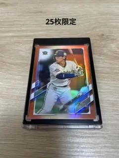 Item thumbnail for item fd095b6a-6c2c-463b-9ccf-5add0d7fcf15