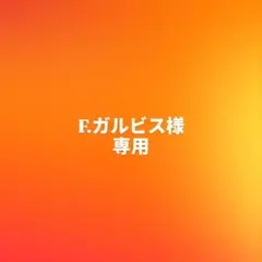 F.ガルビス様 リクエスト 2点 まとめ商品