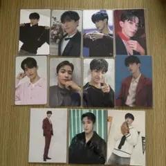 SEVENTEEN ドギョム トレカ11枚+おまけ