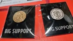 Item thumbnail for item 800d1235-3fbd-404f-8889-9ab82ef27689