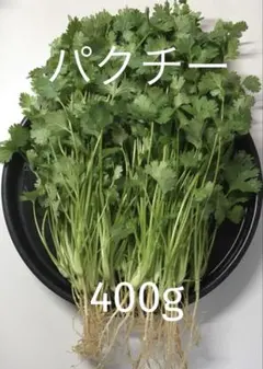 Ku May　　パクチー5kg 乾燥 パクチー たっぷり 300g いつでも、どこでも、パクチーな気分