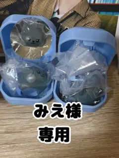 みえ様 専用ページ