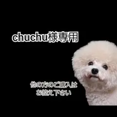 【chuchu様専用】