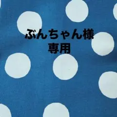 【ぶんちゃん様専用バッグ】