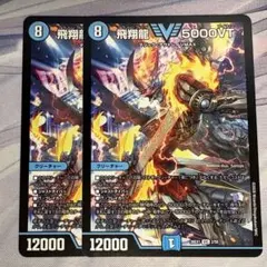 飛翔龍 5000VT 2枚セット - メルカリ