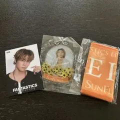 FANTASTICS 瀬口黎弥 カード ミニネームタオル 銀テープ付 - メルカリ