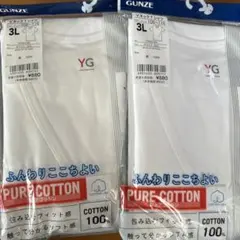 YG VネックTシャツ 2枚セット