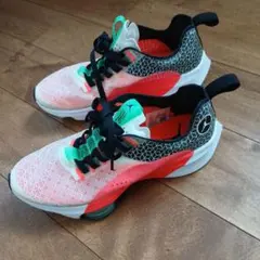 NIKE AIR JORDAN CJ5383-002 25.5のサムネイル