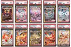 【ALL PSA10】ブイズ SAR テラスタルフェス