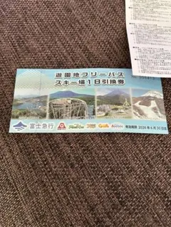 富士急行 共通優待券 株主優待 15枚　富士急ハイランド 富士急行（9010）の株主優待紹介