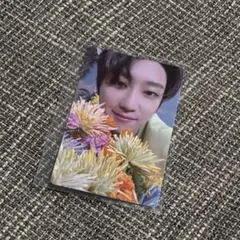 SEVENTEEN SECTOR 17 THE8