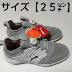 Puma PWRADAPT ゴルフシューズ 25cm グレー 新品未使用