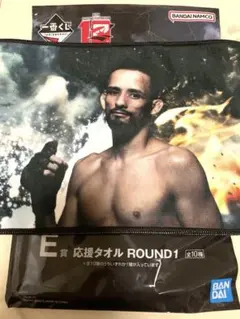 RAIZIN1番くじ 応援タオル ROUND1 E賞 クレベルコイケ