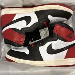 Air Jordan 1 RETRO HIGH OG DZ5480 106