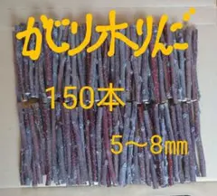 かじり木りんご 150本
